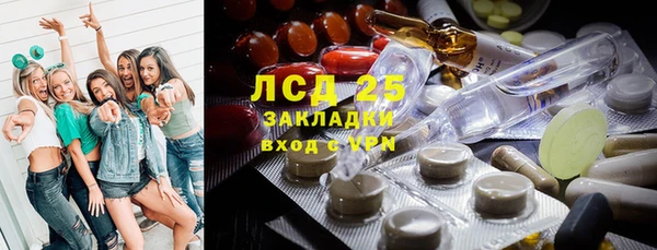 PSILOCYBIN Богданович